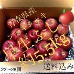 青森県産　早生ふじ　訳ありのサムネイル