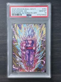 PSA10 SDV11-050 손오반 : SH 병렬 다이버