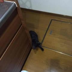 専用のサムネイル