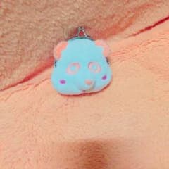 西島隆弘 がま口のサムネイル