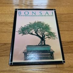 BONSAI  Peter Chanのサムネイル