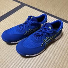 ASICS 安全靴　JSAA合格品 30cmのサムネイル
