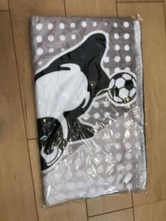 名古屋グランパス☆応援タオルのサムネイル