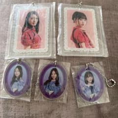 乃木坂46 アクリルキーホルダー 5種セットのサムネイル