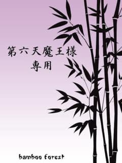 第六天魔王様専用 2点まとめ買いリクエスト商品 - メルカリ