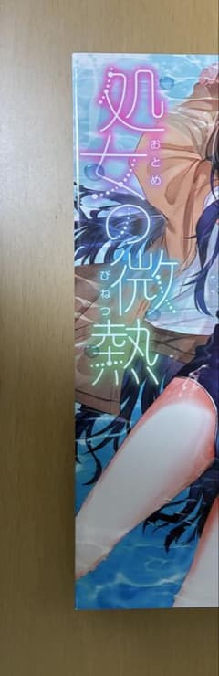 처녀의 미열 백제아 감일 멜론북 한정 만화책자 첨부