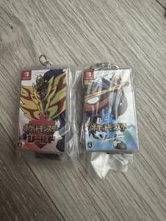 Pokémon Package & Cartridge Keychain Collection: Sword & Shield