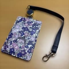 Almost unused Scalar pass case with retractable reel.