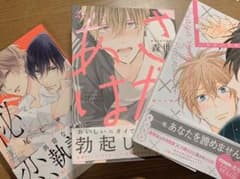 BL本　20冊まとめ売りのサムネイル