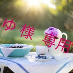 ゆ様 専用のサムネイル