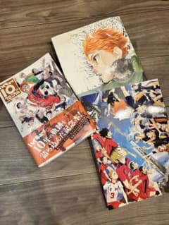 ハイキュー!! 10周年記念イラスト集/大判画集/ゴミ捨て場の決戦パンフレットのサムネイル