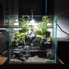 滝の流れるアクアテラリウム　水槽手前かけありの為お値下げしております。 滝の流れるアクアテラリウム 水槽手前かけありの為お値下げしており