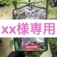 xx様専用 - メルカリ