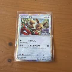 イーブイ P ポケモンカードフレンドリィショップ限定キャンペーン キラ 306…のサムネイル