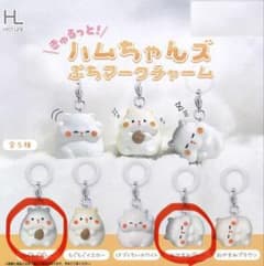きゅるっと！ハムちゃんず ぷちマークチャーム ガチャのサムネイル
