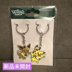 新品未開封】ポケパークカントー 限定 キーホルダー イーブイ