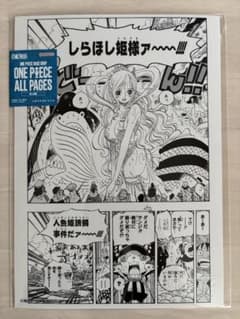 ONE PIECE ALL PAGES 원피스 베이스 숍 시라호시 공주님