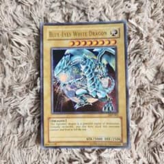 ブルーアイズ・ホワイト・ドラゴン & 究極封印神エクゾディオス&現世と冥界の逆転 ブルーアイズ・ホワイト・ドラゴン & 究極封印神エクゾディオス&現世と