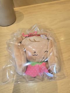 IVE MINIVE ポップアップ 日焼け ぬいぐるみ ウォニョンのサムネイル