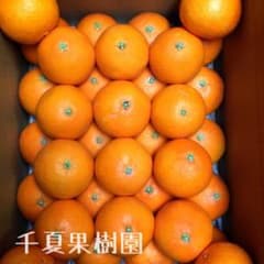 六花様 専用  Mサイズのサムネイル