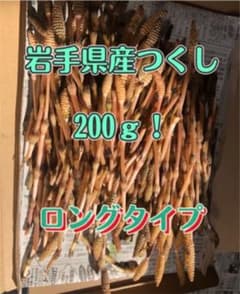 岩手県つくしお値下げ！！200ｇ即買いOK！のサムネイル