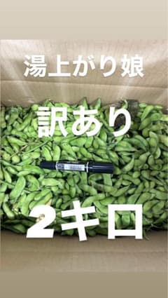 12 訳あり品 枝豆 湯上がり娘 2キロ 有機肥料 - メルカリ