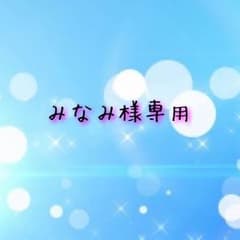 みなみ様専用のサムネイル