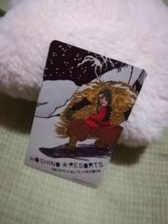 リフト券 2日分のサムネイル