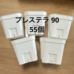 プレステラ90 (55個)のサムネイル