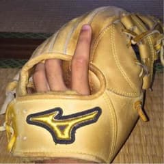 ミズノプログローブのサムネイル