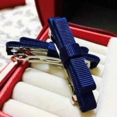 ブルーリボンバレッタ（ミニ）のサムネイル