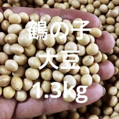 鶴の子大豆　1.3kg 令和7年北海道産　2.6分上　約8mm 中粒のサムネイル