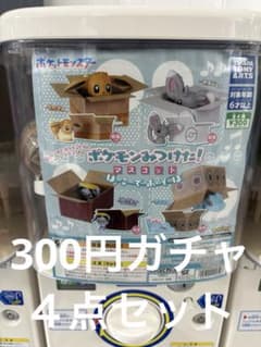 I found a Pokémon! Mascot Box Play Gacha