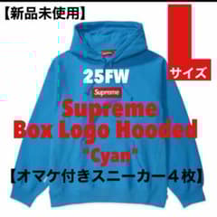トップス Supreme Box Logo Hooded (25FW) Cyan XL Supreme Box Logo Hooded (25FW) Cyan 【L】 - メルカリ