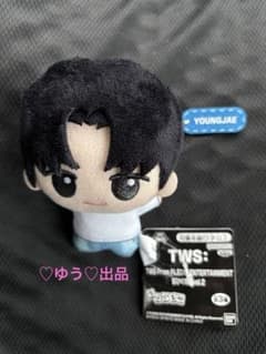 TWS　トゥアス　ちびぐるみ　ヨンジェ　ナムコ限定