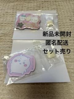 ちいかわ キャラマグネッツ3(2点セット) ちいかわ ハチワレ うさぎ