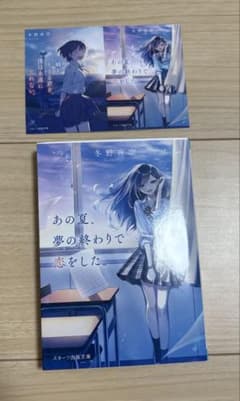 あの夏、夢の終わりで恋をした。　作者　冬野夜空のサムネイル