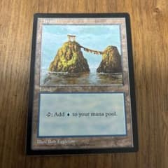 MTG APAC island 島 夫婦岩 鳥羽 伊勢 基本土地 - メルカリ