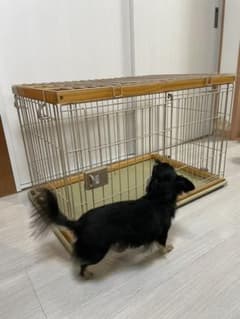 犬　猫　ケージのサムネイル