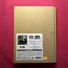 遊戯王 アクリルプレートA 閃刀姫 レイ - メルカリ