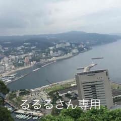 るるるさん専用のサムネイル