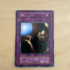 遊戯王OCG 落とし穴 罠カード