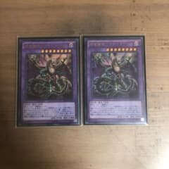 遊戯王 捕食植物ドラゴスタペリア 2枚セットのサムネイル