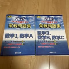 2026 大学入学共通テスト実戦問題集 数学ⅠA,ⅡBC駿台文庫のサムネイル