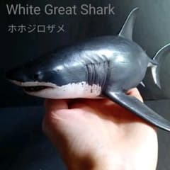 サメ　模型　ホホジロザメ　超絶モデル サメ 模型 ホホジロザメ 超絶モデル - メルカリ