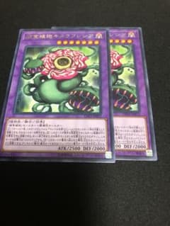 捕食植物キメラフレシアのサムネイル