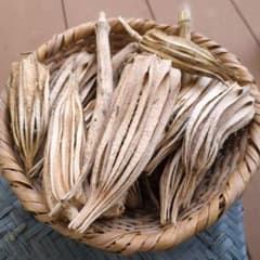 自然栽培　無農薬　オクラダビデの星　固定種のサムネイル