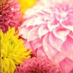 pee様専用のサムネイル