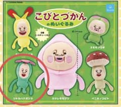 こびとづかんのぬいぐるみ リトルハナガシラ ガチャのサムネイル