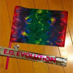 藤井萩花 フラッグ 国旗のサムネイル
